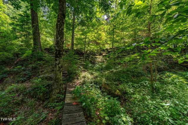 117 Toms Creek Drive, Roan Mountain, TN 37687