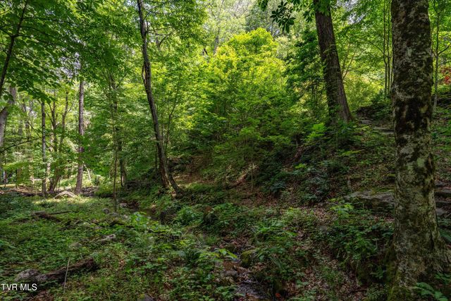 117 Toms Creek Drive, Roan Mountain, TN 37687