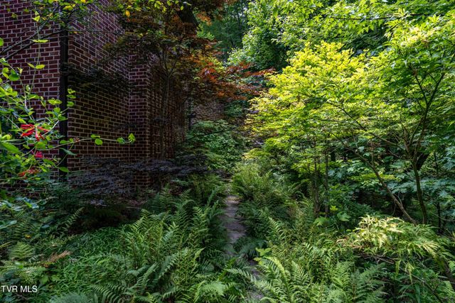 117 Toms Creek Drive, Roan Mountain, TN 37687