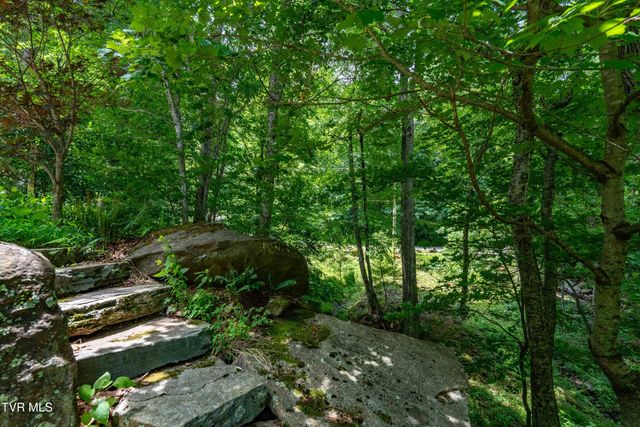117 Toms Creek Drive, Roan Mountain, TN 37687