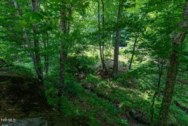117 Toms Creek Drive, Roan Mountain, TN 37687