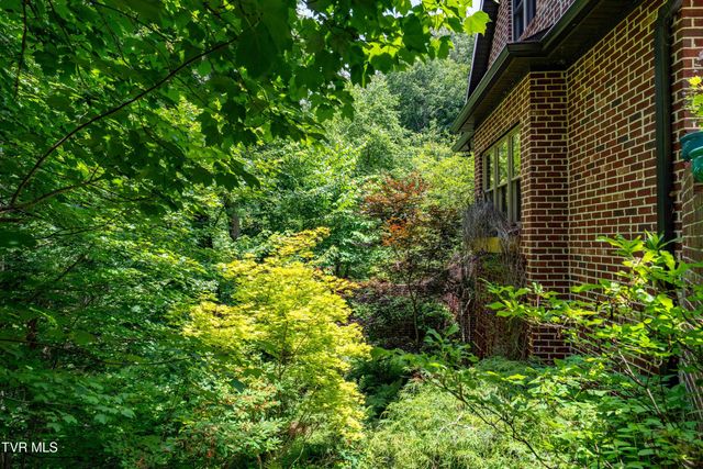 117 Toms Creek Drive, Roan Mountain, TN 37687