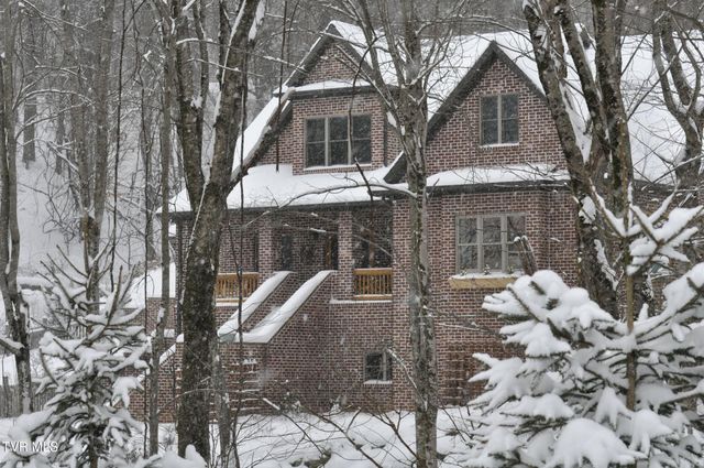 117 Toms Creek Drive, Roan Mountain, TN 37687