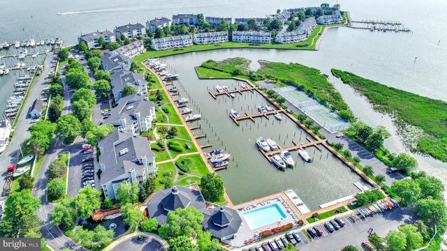 436 OYSTER COVE DR, Grasonville, MD 21638