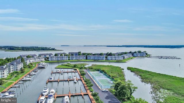 436 OYSTER COVE DR, Grasonville, MD 21638