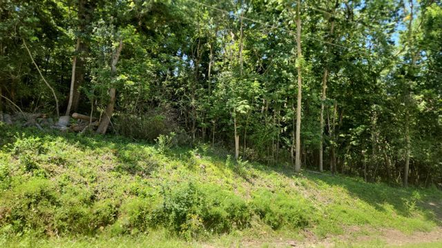 XXXX Cedar Beach Drive NW, Oronoco, MN 55960