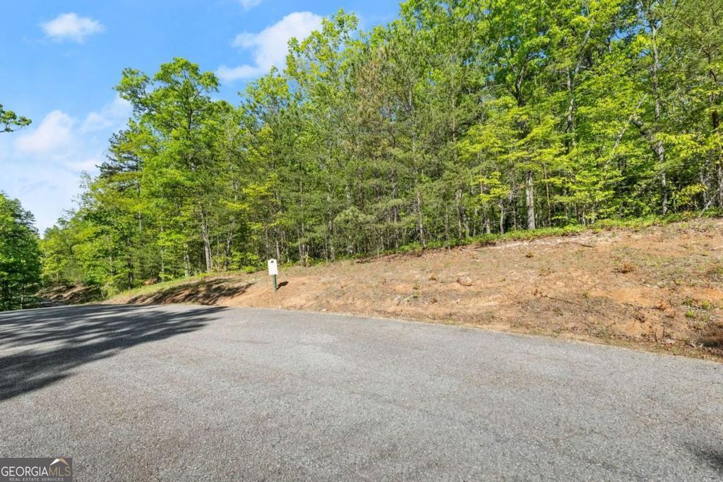 0 Pippin Circle #635, Clarkesville, GA 30523 — photo 2