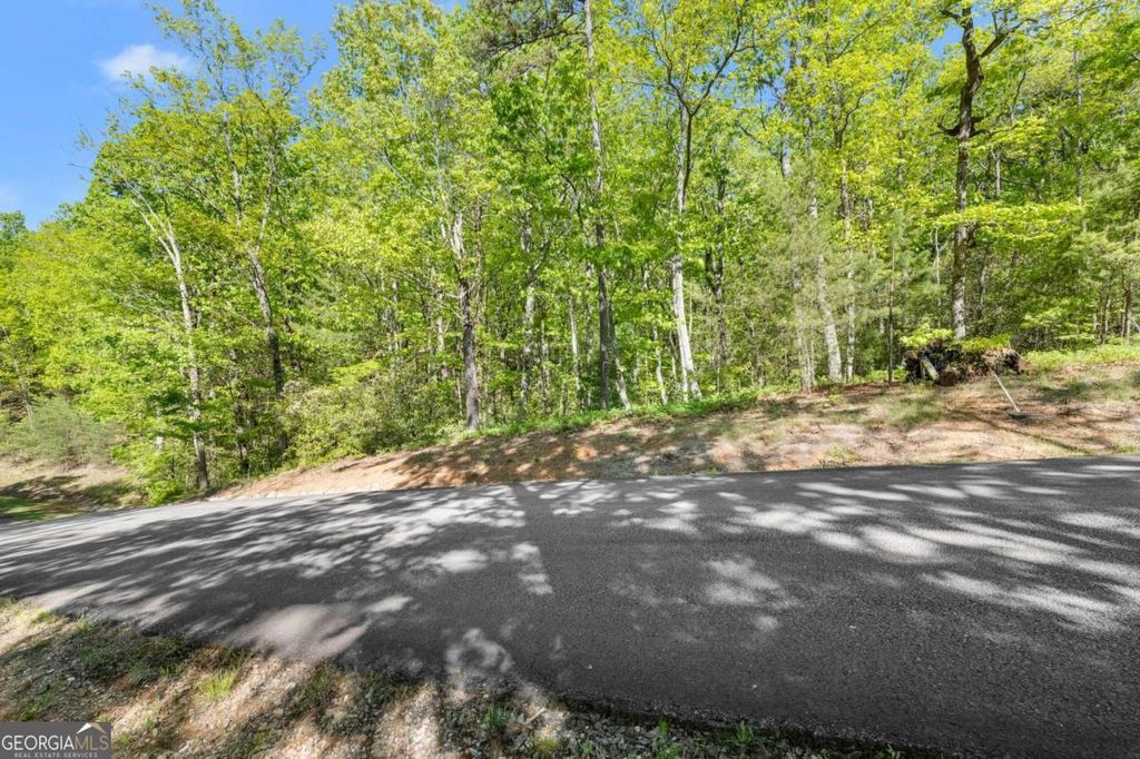 0 Pippin Circle #635, Clarkesville, GA 30523 — photo 3