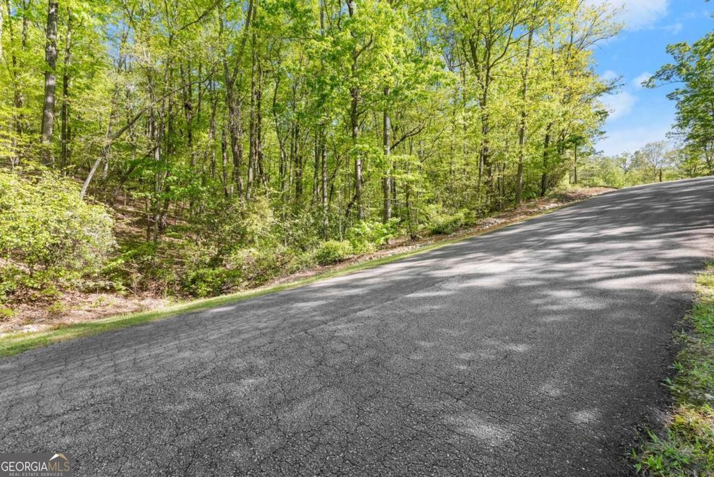 0 Pippin Circle #635, Clarkesville, GA 30523 — photo 4