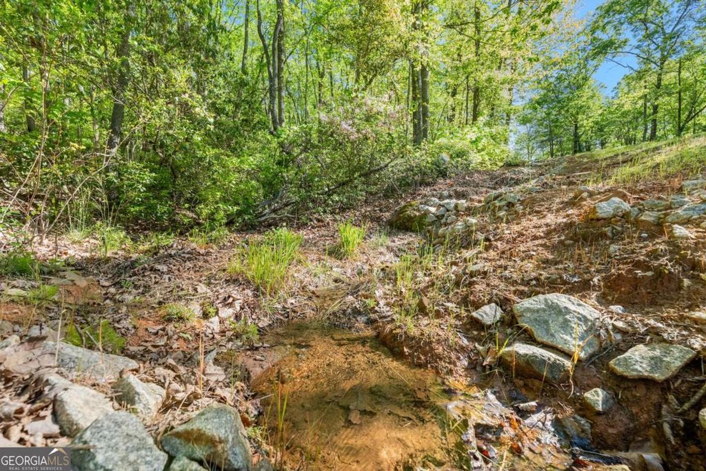 0 Pippin Circle #635, Clarkesville, GA 30523 — photo 5