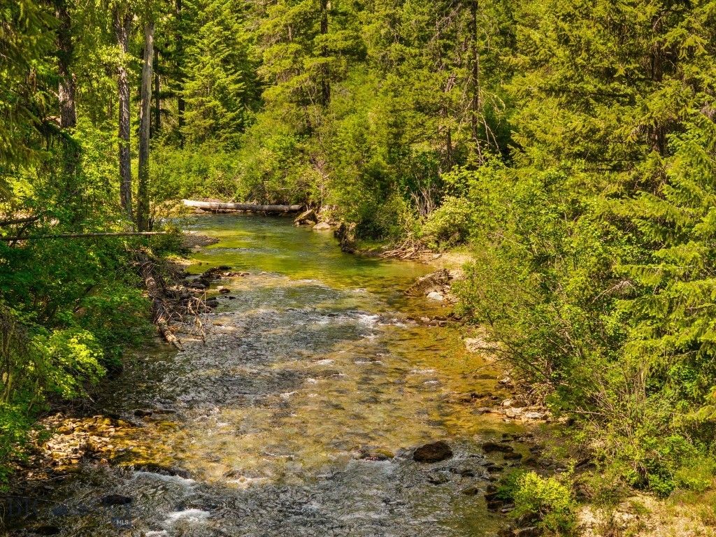 135 Squire Lane South, Trout Creek, MT 59874 photo 91