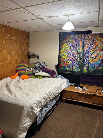 55 Frank Street, Perinton, NY 14450