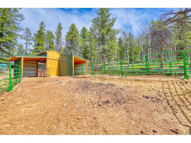 1447 Coyote Cir, Black Hawk, CO 80422