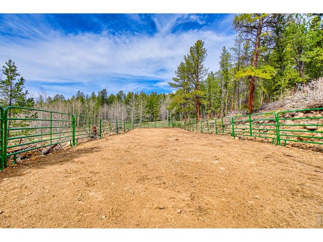 1447 Coyote Cir, Black Hawk, CO 80422