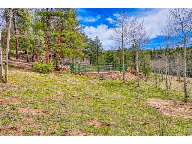 1447 Coyote Cir, Black Hawk, CO 80422