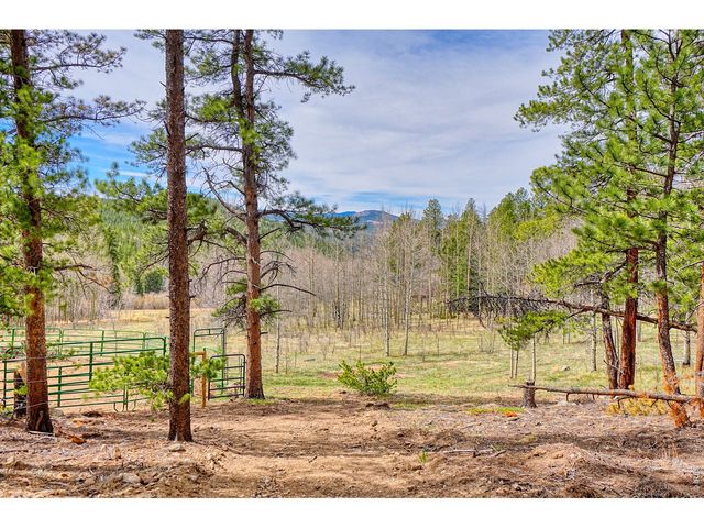 1447 Coyote Cir, Black Hawk, CO 80422