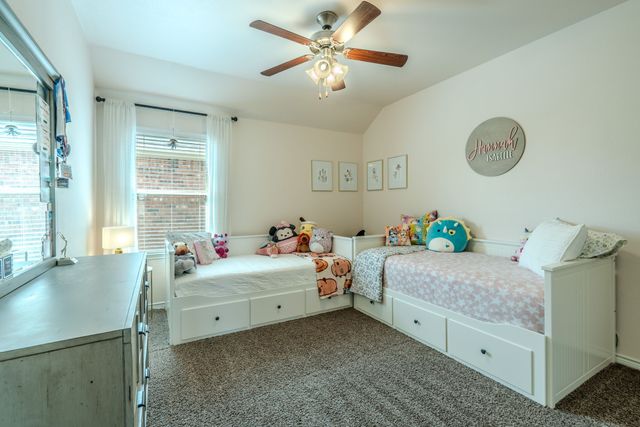 10036 Long Branch Drive, Mckinney, TX 75071