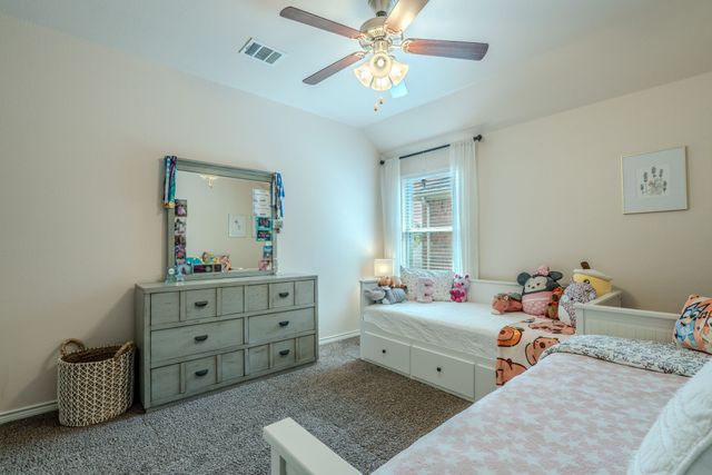 10036 Long Branch Drive, Mckinney, TX 75071
