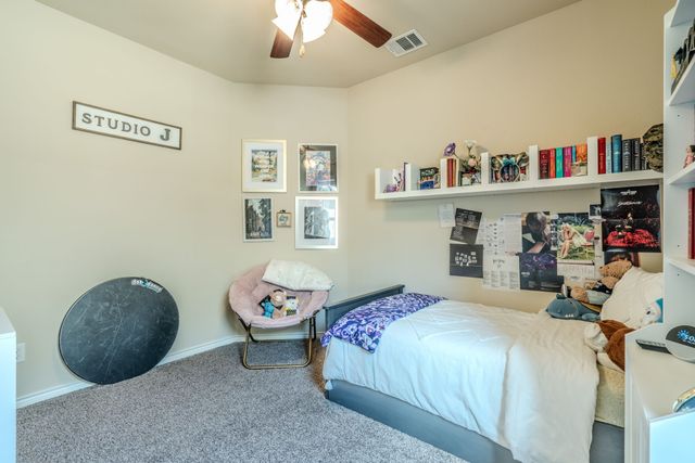 10036 Long Branch Drive, Mckinney, TX 75071