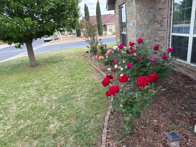4173 Kensington Creek, San Angelo, TX 76904