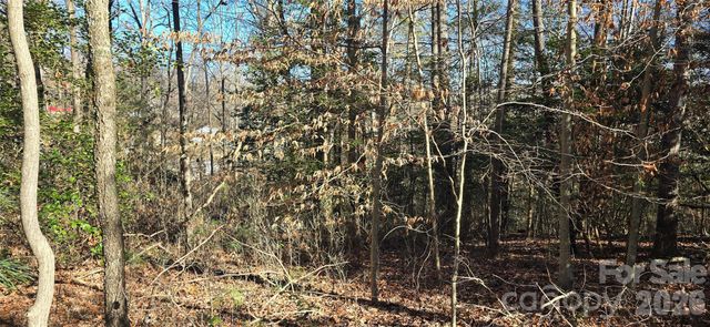 0 Peak Place, Lenoir, NC 28645