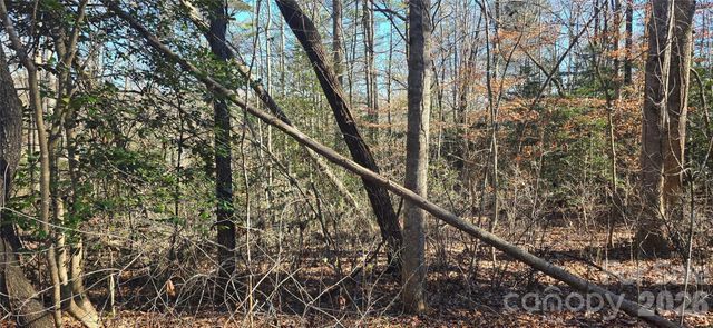 0 Peak Place, Lenoir, NC 28645