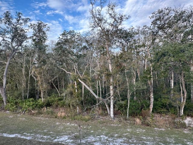 11111 WISHING CLOUD ROAD, Land O Lakes, FL 34638