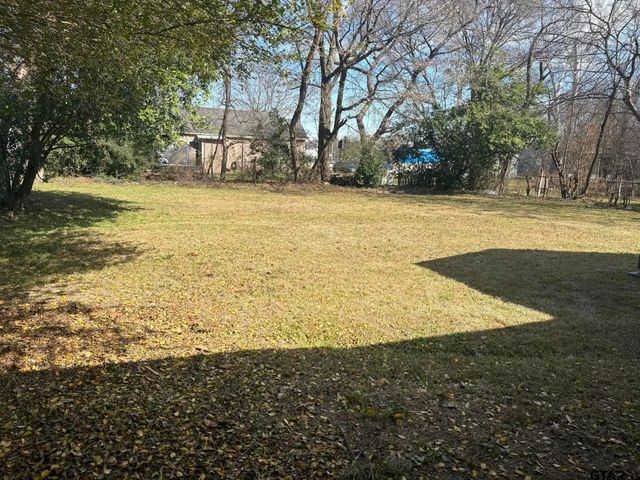 137 Ash Street, Pittsburg, TX 75686