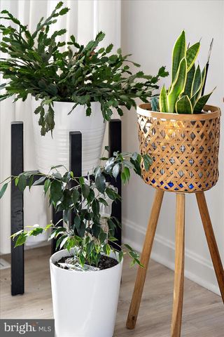 413 QUEEN ANNE ST, Dagsboro, DE 19939