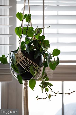 413 QUEEN ANNE ST, Dagsboro, DE 19939