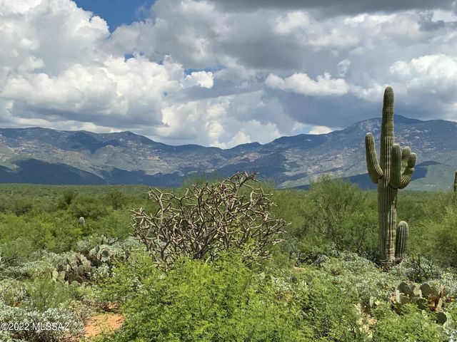 7460 S Rolling Tumbleweed Road, Vail, AZ 85641