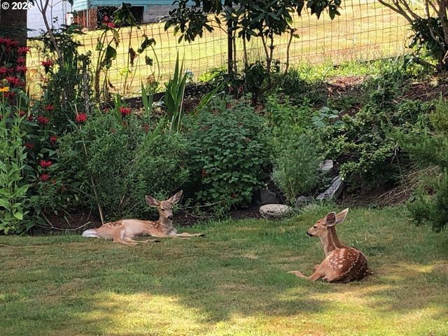 265 AUBURN Ave, Astoria, OR 97103