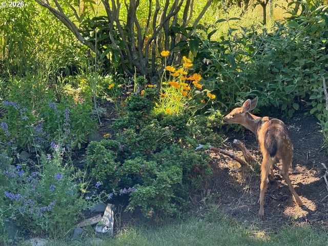 265 AUBURN Ave, Astoria, OR 97103