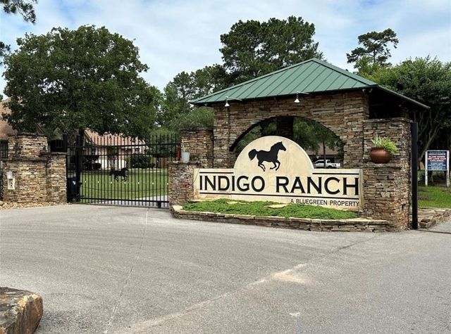 17103 Indigo Hills Drive, Magnolia, TX 77355