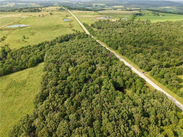 TBD 295 Highway, Hindsville, AR 72738
