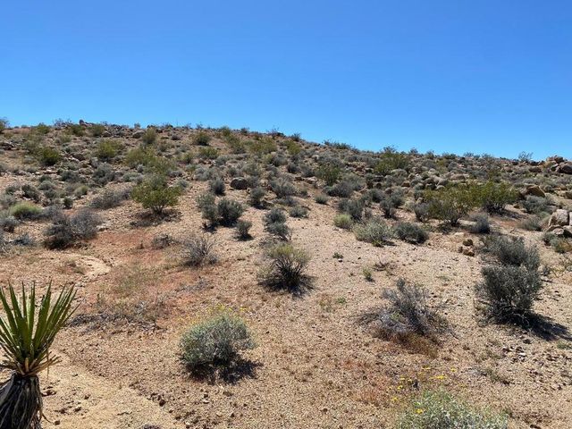 5168 Lazy Lane, Johnson Valley, CA 92285
