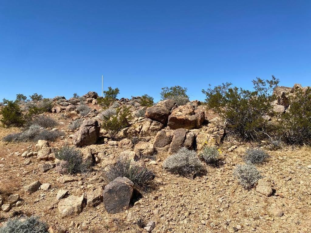 Image 17 of property listing at 5168 Lazy Lane, Johnson Valley, CA 92285