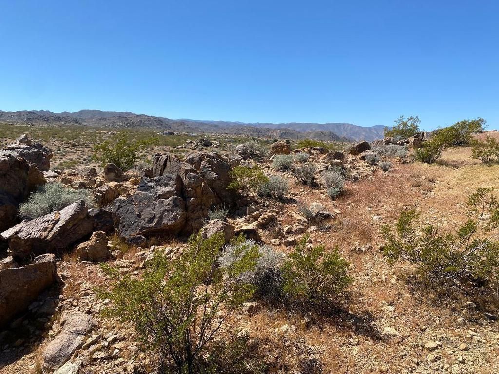 Image 18 of property listing at 5168 Lazy Lane, Johnson Valley, CA 92285