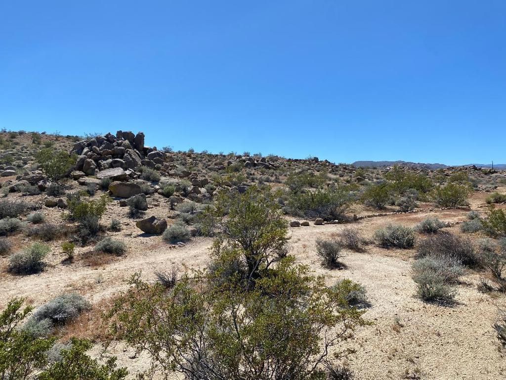 Image 20 of property listing at 5168 Lazy Lane, Johnson Valley, CA 92285