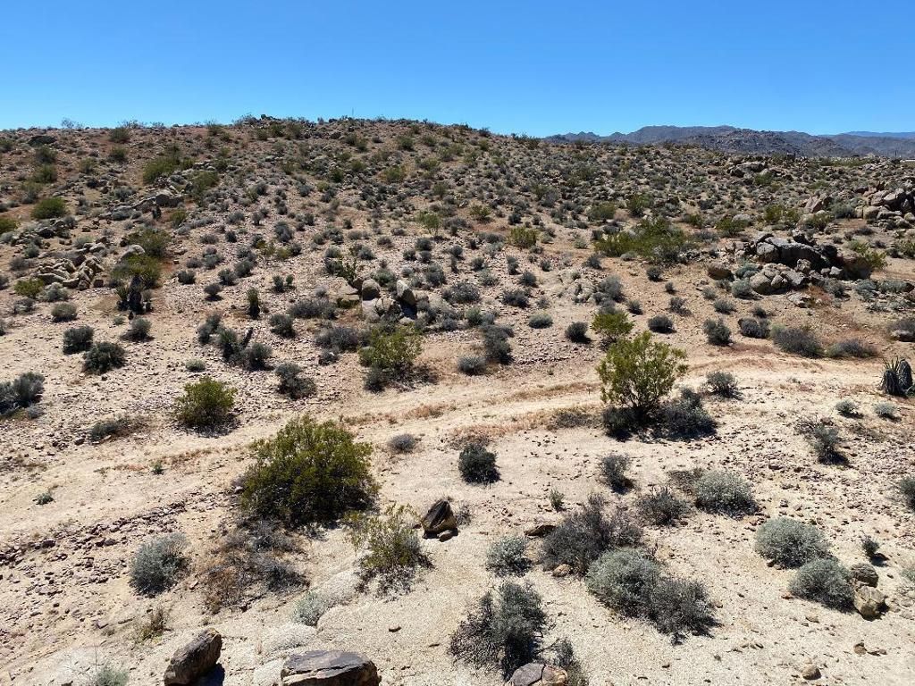 Image 21 of property listing at 5168 Lazy Lane, Johnson Valley, CA 92285