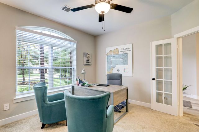 40724 Lost San Saba Lane, Montgomery, TX 77316