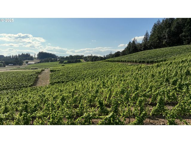 7900 Ne Oak Springs Farm Rd, Carlton, OR 97111