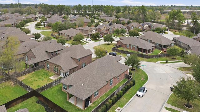 22503 Birch Ridge Meadow Drive, Spring, TX 77389