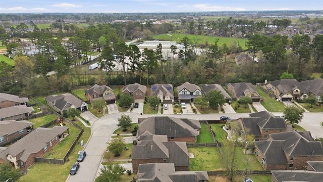 22503 Birch Ridge Meadow Drive, Spring, TX 77389