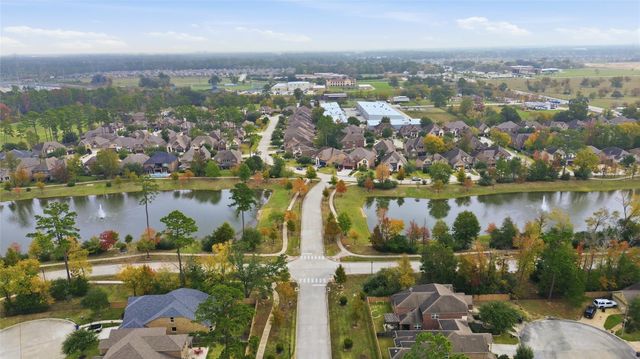 22503 Birch Ridge Meadow Drive, Spring, TX 77389