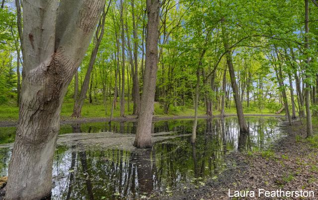 10451 Pine Island Drive Ne, Algoma Twp, MI 49345
