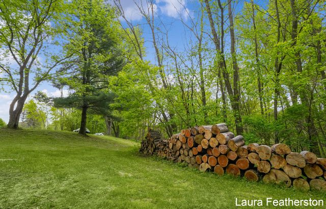 10451 Pine Island Drive Ne, Algoma Twp, MI 49345
