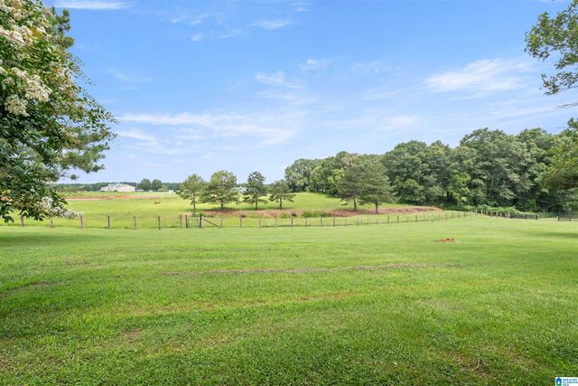 2454 BLUE SPRINGS ROAD, Wilsonville, AL 35186