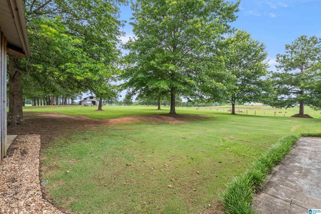 2454 BLUE SPRINGS ROAD, Wilsonville, AL 35186