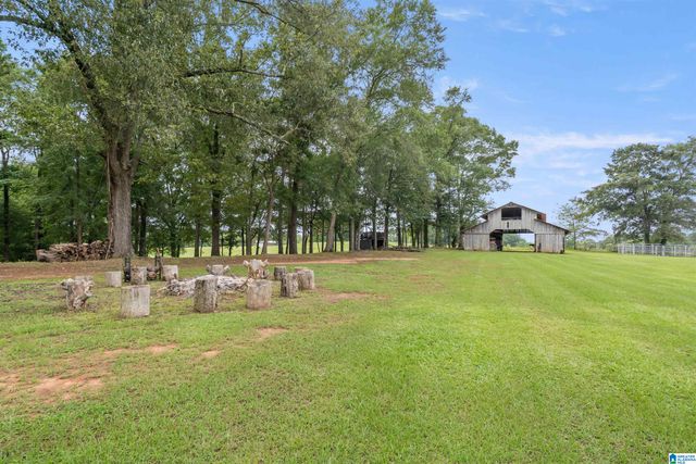 2454 BLUE SPRINGS ROAD, Wilsonville, AL 35186